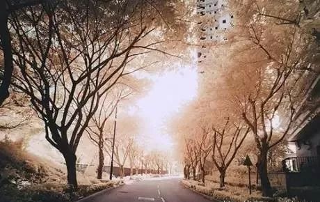 1567782653529587.jpg 微信图片_20190906231034.jpg