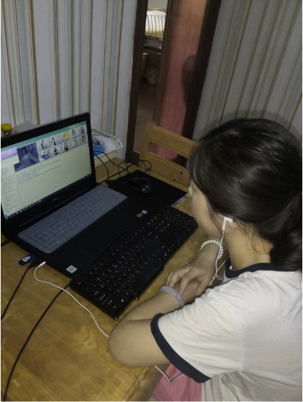 1586759484932972.png 06 视障学员通过网络参加培训学习.png